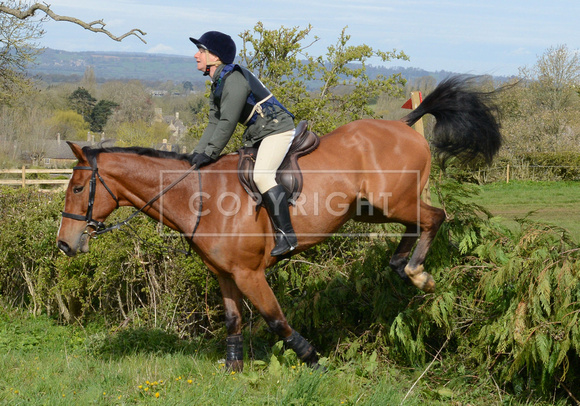 Heythrop Team Chase - 2 018