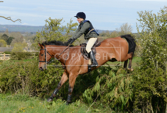 Heythrop Team Chase - 2 017