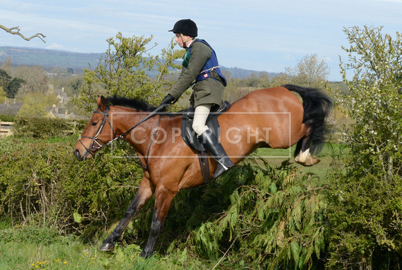 Heythrop Team Chase - 2 026