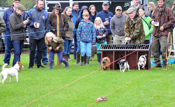 Kennels Open Day 019