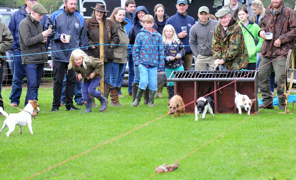 Kennels Open Day 020