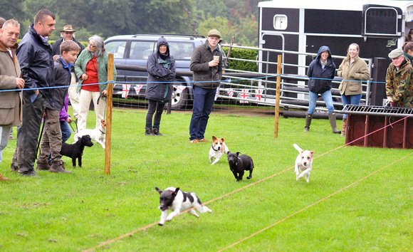 Kennels Open Day 015