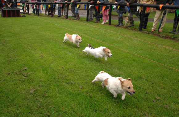 Kennels Open Day-2 083_edited-1