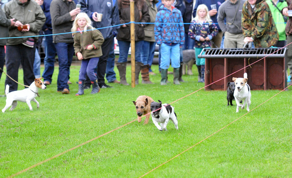 Kennels Open Day 025