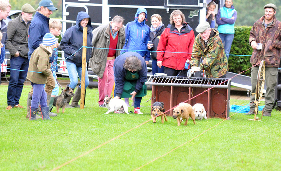 Kennels Open Day 030