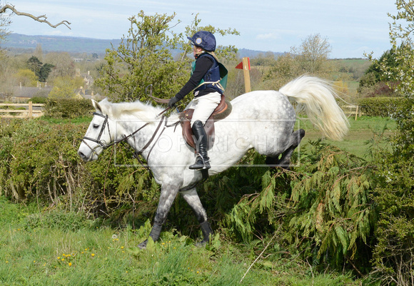 Heythrop Team Chase - 2 013
