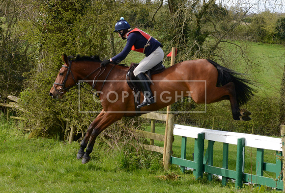Heythrop Team Chase - 2 028